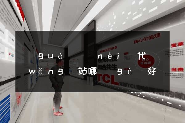 國(guó)內(nèi)代購網(wǎng)站哪個(gè)好